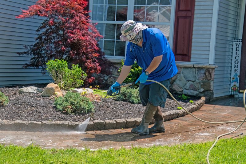 Brick Maintenance